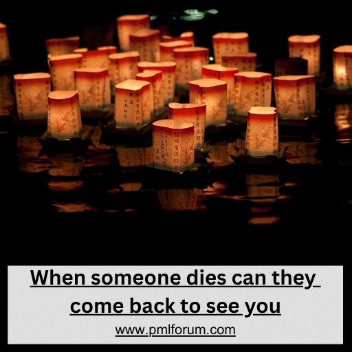Can The Departed Return? Exploring "When Someone Dies, Can They Come Back To See You?